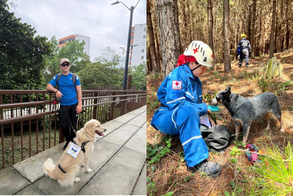 Perros que guían y salvan vidas en Cali