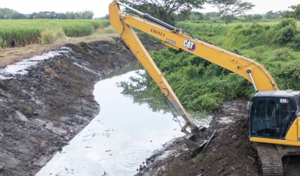 Recuperación ecológica en Cali: el humedal el Estero renace con esfuerzo comunitario y del sector azucarero Recuperación ecológica en Cali: el humedal el Estero renace con esfuerzo comunitario y del sector azucarero