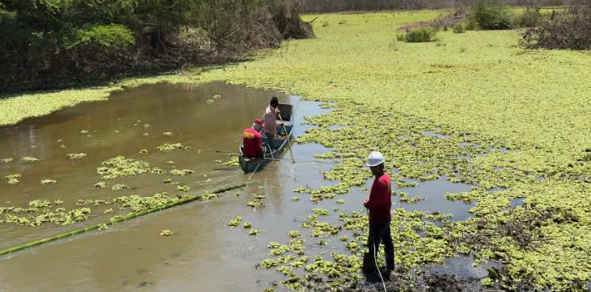 $1700 Millones: CVC impulsa la recuperación de 23 humedales clave en el Valle del Cauca $1700 Millones: CVC impulsa la recuperación de 23 humedales clave en el Valle del Cauca