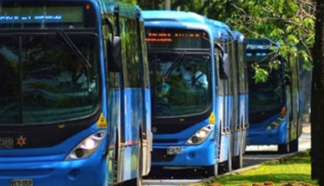 Seguridad en el MÍO: Cali logra reducción del 41% en Hurtos Seguridad en el MÍO: Cali logra reducción del 41% en Hurtos