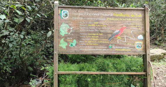 Demolición y multa millonaria: Parques Nacionales actúa contra construcción ilegal en Los Andes, Cali Demolición y multa millonaria: Parques Nacionales actúa contra construcción ilegal en Los Andes, Cali
