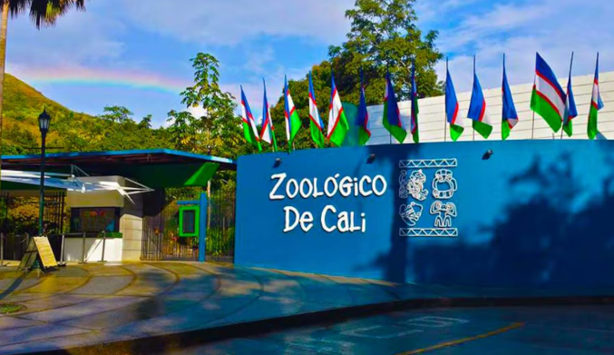 Cali para Niños: Los 5 mejores planes familiares con naturaleza y cultura Cali para Niños: Los 5 mejores planes familiares con naturaleza y cultura