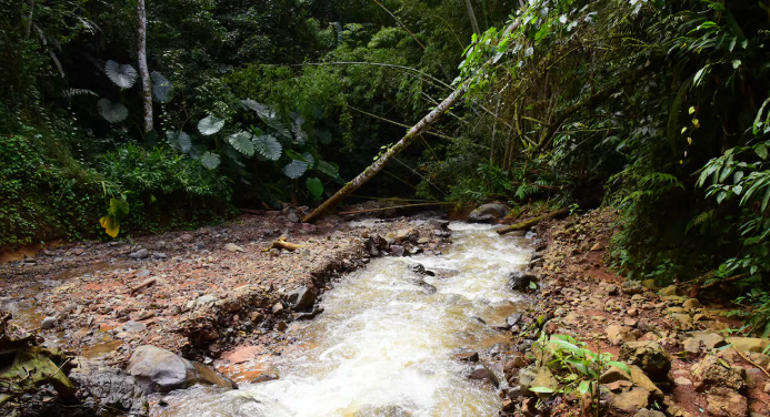 Riofrío, Valle del Cauca: descubre sus piscinas naturales, lagunas y atractivos turísticos cerca de Cali Riofrío, Valle del Cauca: descubre sus piscinas naturales, lagunas y atractivos turísticos cerca de Cali