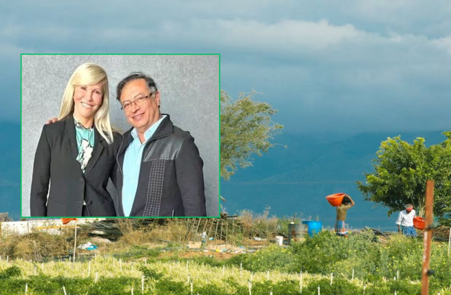 Choque político por catastro multipropósito en Valle del Cauca: Petro acusa a Dilian Toro de defender a ‘dueños del azúcar’ Choque político por catastro multipropósito en Valle del Cauca: Petro acusa a Dilian Toro de defender a ‘dueños del azúcar’