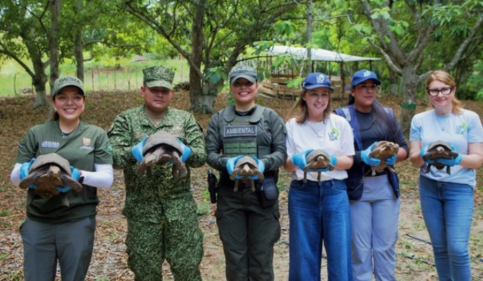 Éxito en la conservación: Dagma y Cardique liberan más de 150 animales silvestres rehabilitados en reservas de Cali-Cartagena Éxito en la conservación: Dagma y Cardique liberan más de 150 animales silvestres rehabilitados en reservas de Cali-Cartagena